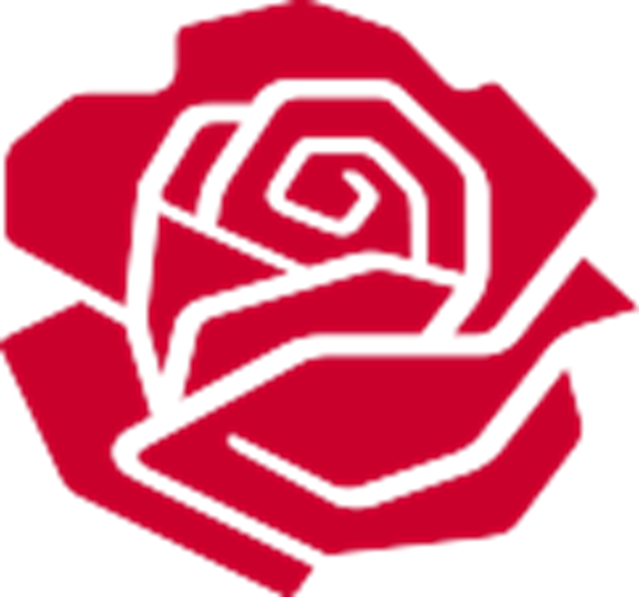 Rose rød